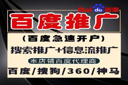 百度推广广告案例：快速抢占市场份额
